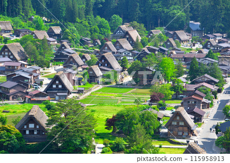 Early summer in Shirakawa-go, Ogimachi district 115958913
