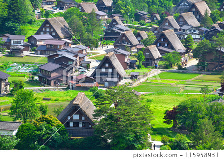 初夏,白川鄉荻町地區 初夏,白川鄉荻町地區 115958931