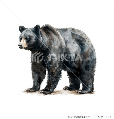 Watercolor illustration of a black bear on a white background 115959897