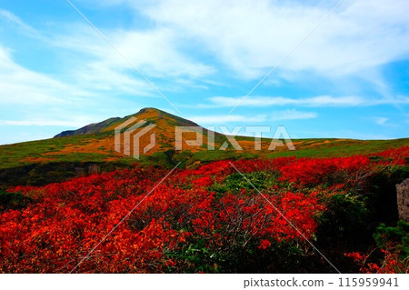 秋天的Kurikoma山 秋天的Kurikoma山 115959941