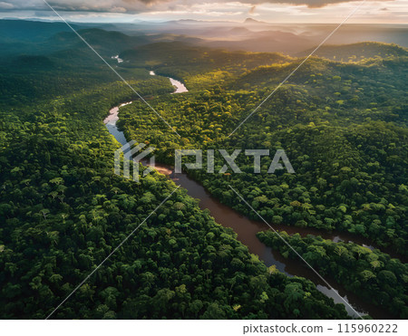熱帶雨林鳥瞰圖 115960222