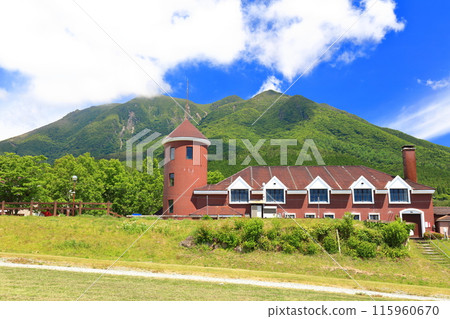 [Oita Prefecture] Guernsey Ranch and the Kuju Mountains on a sunny day 115960670