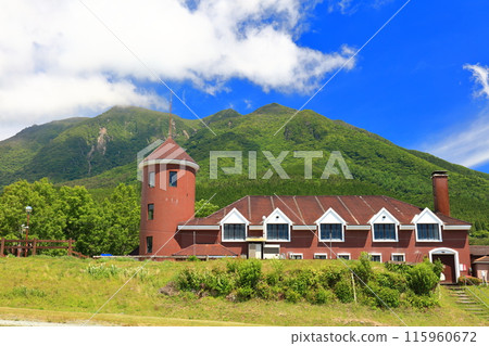 [Oita Prefecture] Guernsey Ranch and the Kuju Mountains on a sunny day 115960672