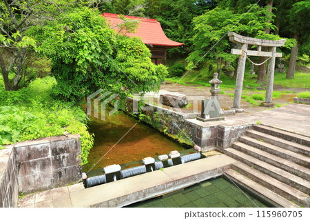 [大分縣] 九十羅野泉水（武田泉水集團） 115960705