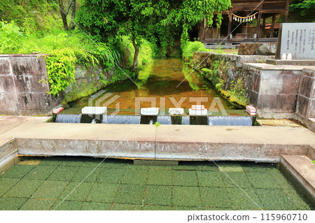 [大分縣] 九十羅野泉水（武田泉水集團） 115960710