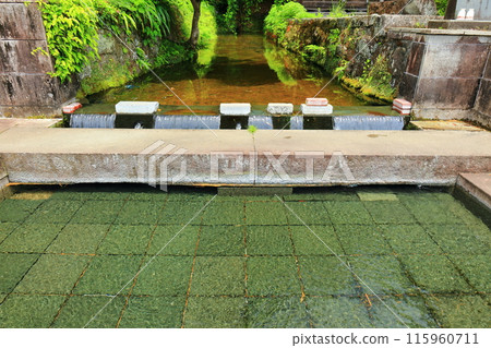 [大分縣] 九十羅野泉水（武田泉水集團） 115960711