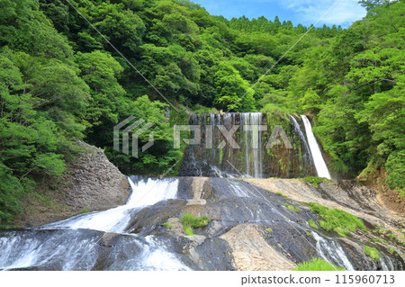 [Oita Prefecture] Ryumon Falls - Fresh greenery on a clear day 115960713