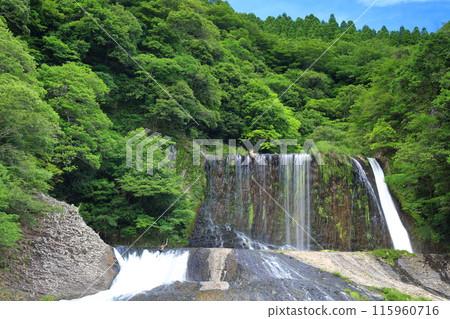 [Oita Prefecture] Ryumon Falls - Fresh greenery on a clear day 115960716