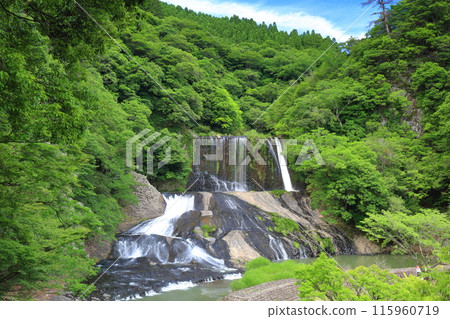 [Oita Prefecture] Ryumon Falls - Fresh greenery on a clear day 115960719