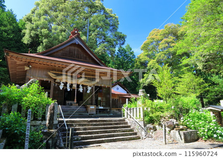 [Oita Prefecture] Sunny Takara Hachiman Shrine Hydrangea Festival 115960724
