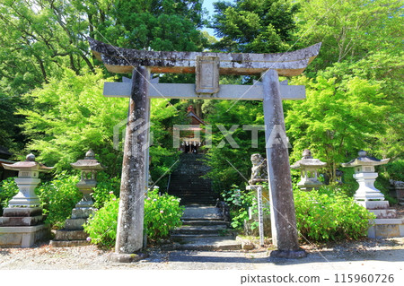 [大分縣] 寶藏八幡神社繡球花節晴空萬裡 115960726