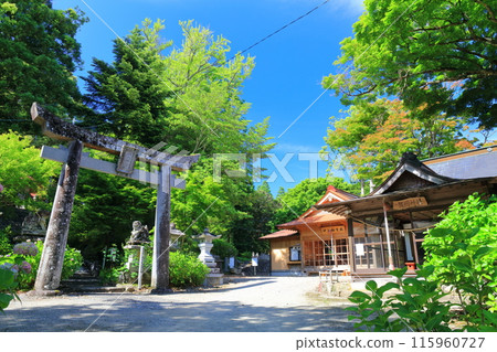 [大分縣] 寶藏八幡神社繡球花節晴空萬裡 115960727