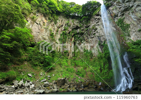 [Oita Prefecture] Higashishiiya Falls (One of Japan's Top 100 Waterfalls) 115960763