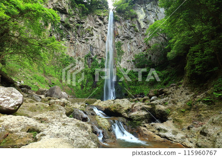 [大分縣] 東谷瀑布（日本瀑布百選） 115960767