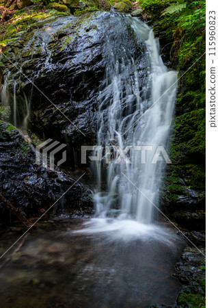Izumiyama, Nakabayashi Falls Course Climbing Scenery (Kagamino-cho, Tomata-gun, Okayama Prefecture) *Photo location in the work comment section 115960823