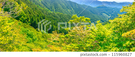泉山風景、銀河路線山路(岡山縣富田郡鏡之町)*照片位置在作品評論區 泉山風景、銀河路線山路(岡山縣富田郡鏡之町)*照片位置在作品評論區 115960827
