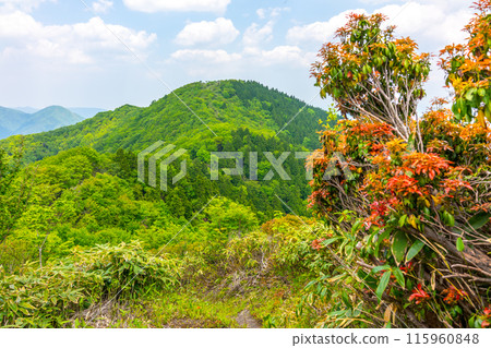 View of Mt. Izumiyama from the summit of Mt. Imizuyama! (Kagami-no-cho, Tomata-gun, Okayama Prefecture) *Please indicate the location of the photo in the comments section of the work. 115960848