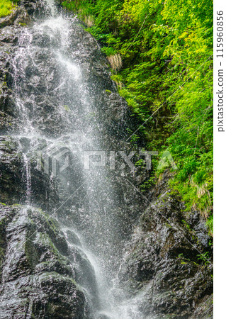 Izumiyama, Nakabayashi Falls (Ninotaki) (Kagami-cho, Tomata-gun, Okayama Prefecture) *The shooting location is listed in the work comment section. Izumiyama, Nakabayashi Falls (Ninotaki) (Kagami-cho, Tomata-gun, Okayama Prefecture) *The shooting location is listed in the work comment section. 115960856