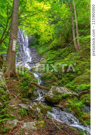 Izumiyama, Nakabayashi Falls trailhead (Kagami-cho, Tomata-gun, Okayama Prefecture) *Photo location in the work comment section Izumiyama, Nakabayashi Falls trailhead (Kagami-cho, Tomata-gun, Okayama Prefecture) *Photo location in the work comment section 115960860