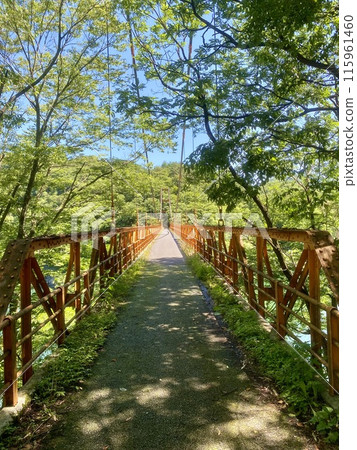 Summer suspension bridge Summer suspension bridge 115961460