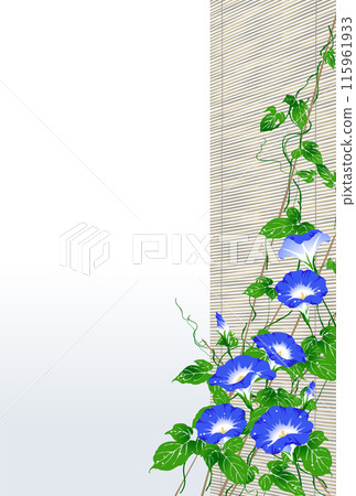 Morning glory blinds, blue 115961933