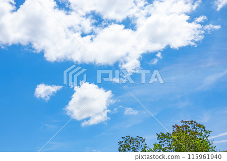 初夏的雲朵和樹木 115961940