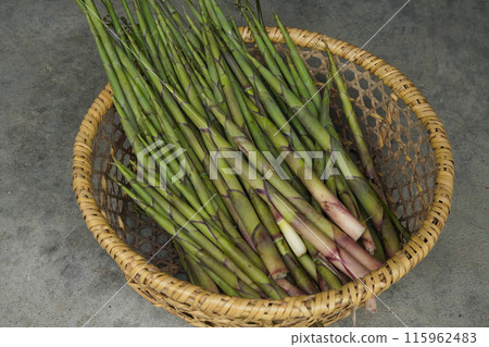 A lot of bent bamboo that was harvested A lot of bent bamboo that was harvested 115962483