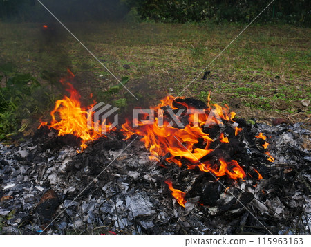 篝火/燃燒的火焰 115963163