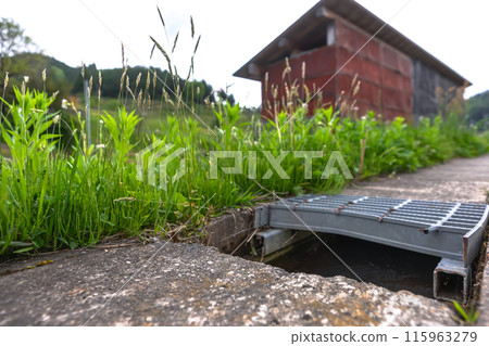 240506 Uri-su z129 115963279