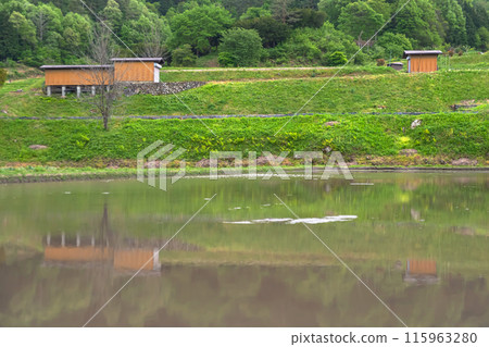 240506 烏利蘇 z123 115963280