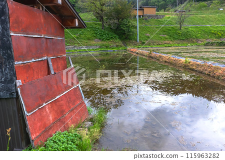 240506 烏莉蘇 z090 115963282