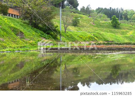 240506 Uri-su z077 115963285