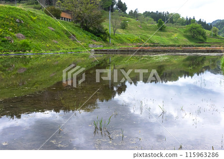 240506 Uri-su z073 115963286