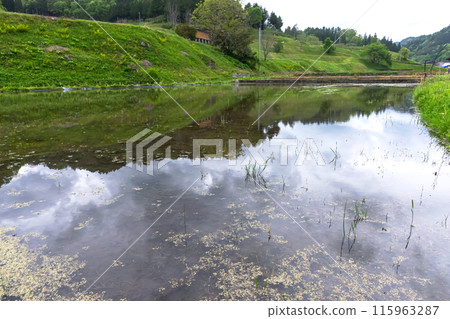 240506 Uri-su z068 115963287