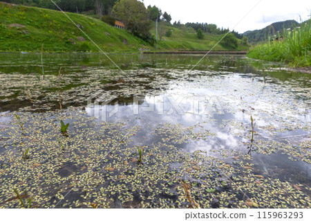 240506 Uri-su z034 115963293