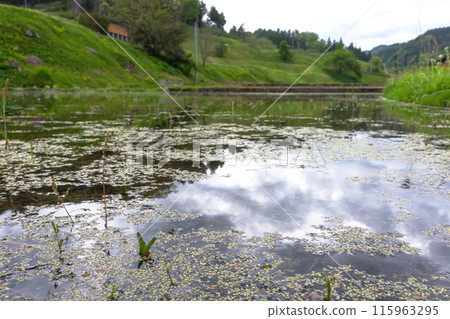 240506 烏莉蘇 z032 240506 烏莉蘇 z032 115963295