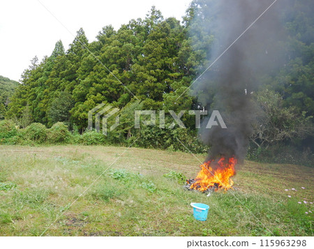 Bonfire/Burning flames 115963298