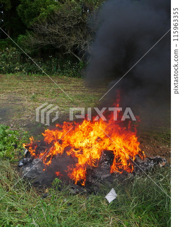 Bonfire/Burning flames 115963355