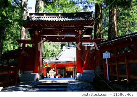 Heading to Nikko in early summer in search of a good fortune... Futarasan Shrine amidst fresh greenery 115963402