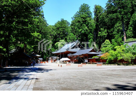 Heading to Nikko in early summer in search of a good fortune... Futarasan Shrine amidst fresh greenery 115963407