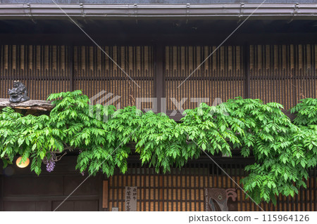 240514 三町 z043 115964126