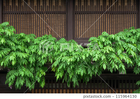 240514 三町 z030 240514 三町 z030 115964130