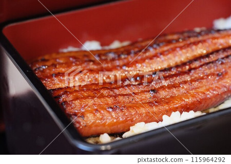 看起來美味的鰻魚特寫 看起來美味的鰻魚特寫 115964292