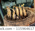 鹽烤三文魚 115964617
