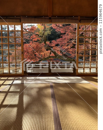 秋葉透過日式房間的格子窺視 秋葉透過日式房間的格子窺視 115964679