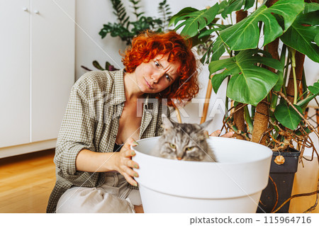 home gardening with your pet. domestic cat sitting inside a flowerpot 115964716
