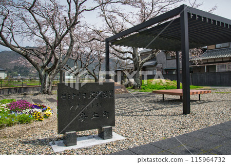 春天的安土神學院公園,藍天、櫻花盛開 春天的安土神學院公園,藍天、櫻花盛開 115964732