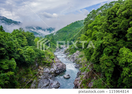 Beautiful summer valley [Ryonaikyo] Odaicho, Takigun, Mie Prefecture 115964814