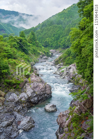 美麗的夏日溪谷【龍內峽谷】 三重縣多喜郡大台町 115964818