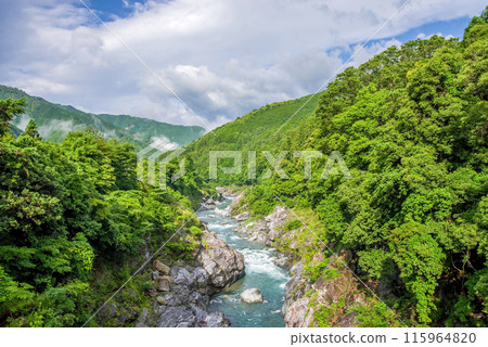 Beautiful summer valley [Ryonaikyo] Odaicho, Takigun, Mie Prefecture 115964820